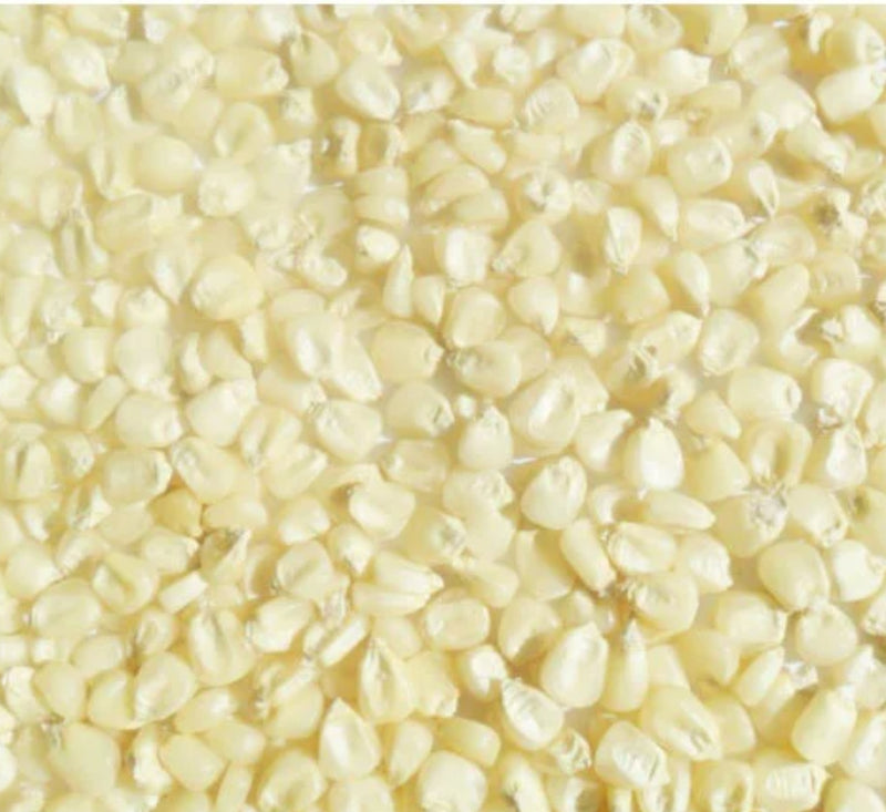 Dried White corn seed ( 1kg)