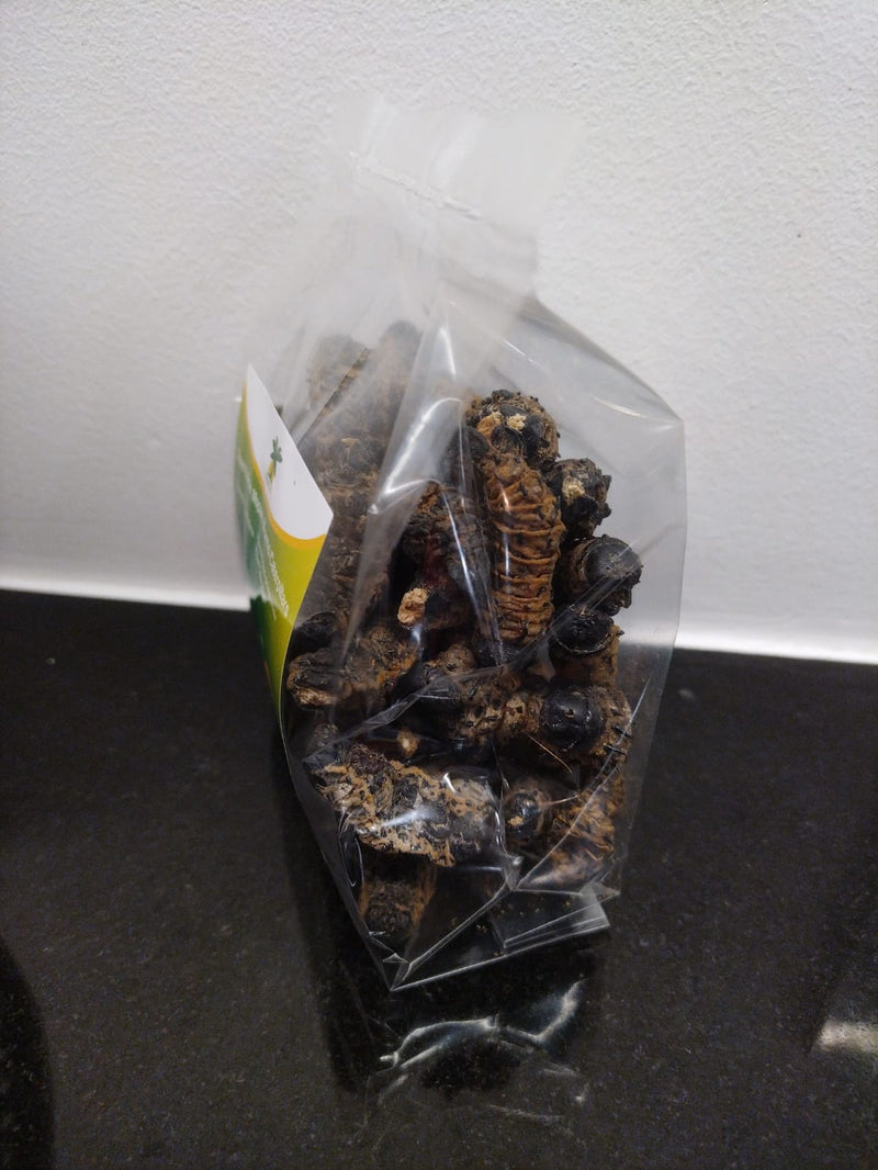 South African Mopani Worms ( Madora)